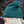 Load image into Gallery viewer, Wolf of the Willows Bottle Green Beanie
